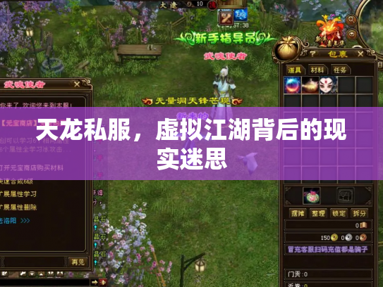 天龙私服，虚拟江湖背后的现实迷思