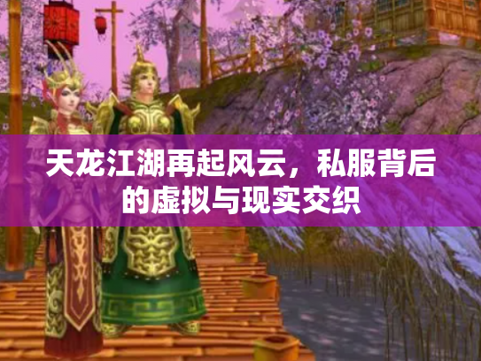 天龙江湖再起风云，私服背后的虚拟与现实交织