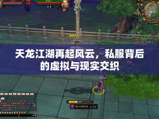 天龙江湖再起风云，私服背后的虚拟与现实交织