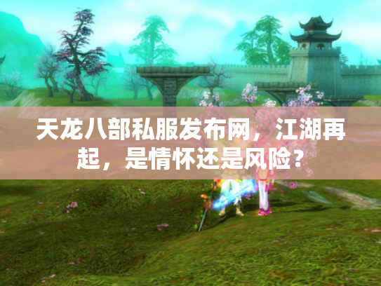 天龙八部私服发布网，江湖再起，是情怀还是风险？