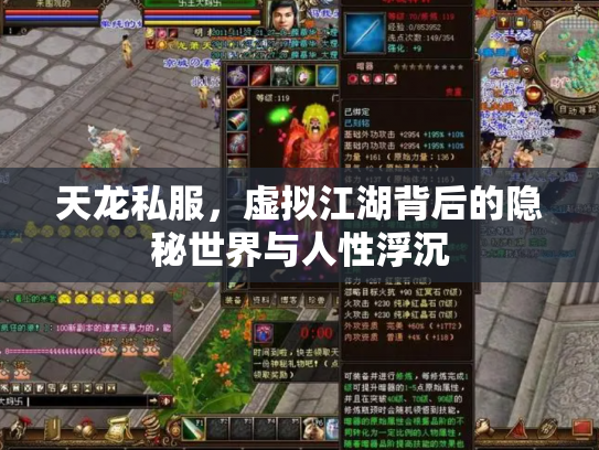 天龙私服，虚拟江湖背后的隐秘世界与人性浮沉