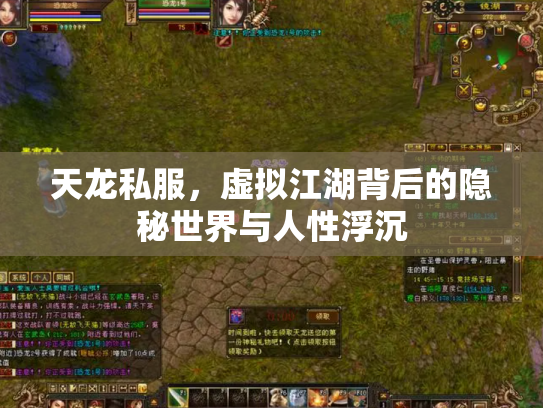 天龙私服，虚拟江湖背后的隐秘世界与人性浮沉