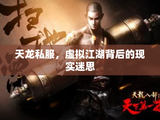 天龙私服，虚拟江湖背后的现实迷思