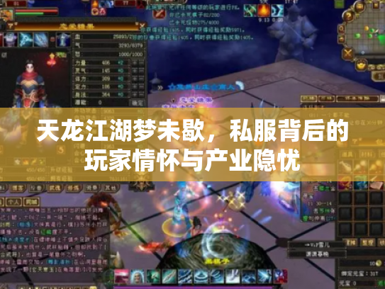 天龙江湖梦未歇，私服背后的玩家情怀与产业隐忧