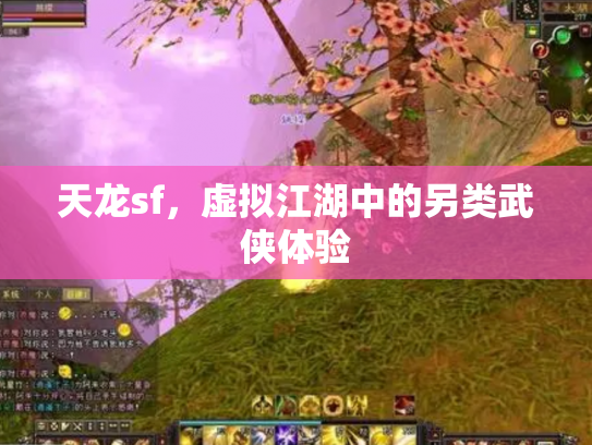 天龙sf，虚拟江湖中的另类武侠体验