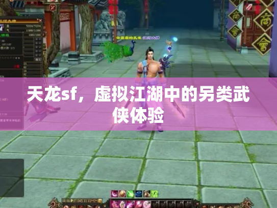 天龙sf，虚拟江湖中的另类武侠体验