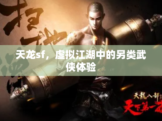 天龙sf，虚拟江湖中的另类武侠体验