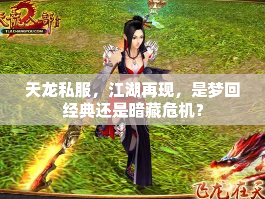 天龙私服，江湖再现，是梦回经典还是暗藏危机？