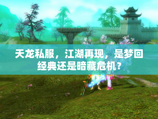 天龙私服，江湖再现，是梦回经典还是暗藏危机？