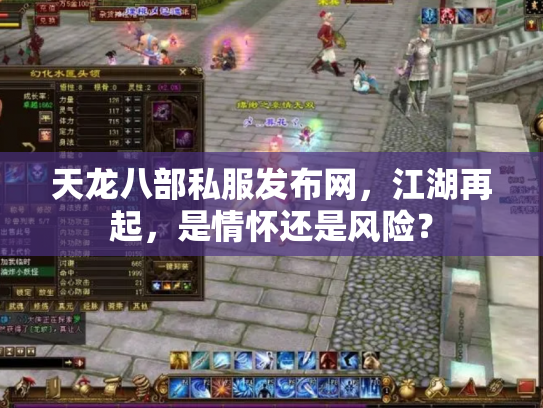 天龙八部私服发布网，江湖再起，是情怀还是风险？