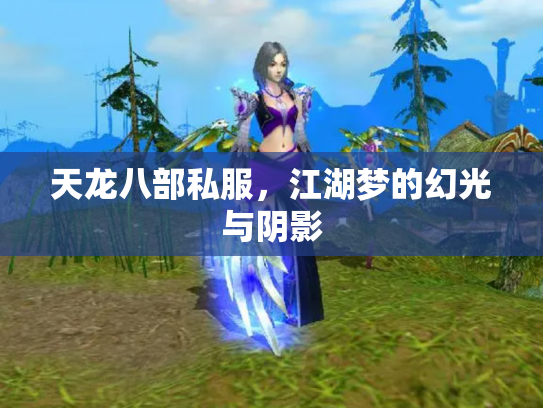 天龙八部私服，江湖梦的幻光与阴影