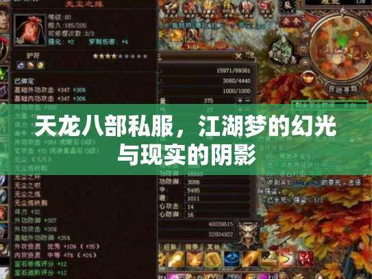 天龙八部私服，江湖梦的幻光与现实的阴影