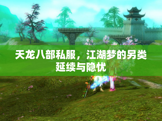 天龙八部私服，江湖梦的另类延续与隐忧