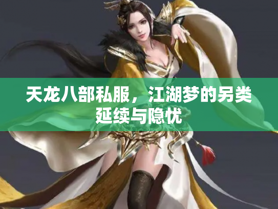 天龙八部私服，江湖梦的另类延续与隐忧