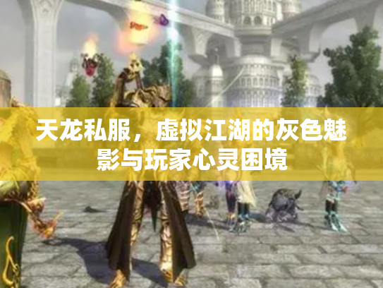 天龙私服，虚拟江湖的灰色魅影与玩家心灵困境