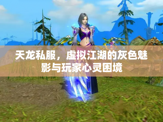 天龙私服，虚拟江湖的灰色魅影与玩家心灵困境