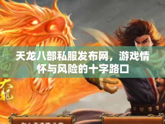 天龙八部私服发布网，游戏情怀与风险的十字路口
