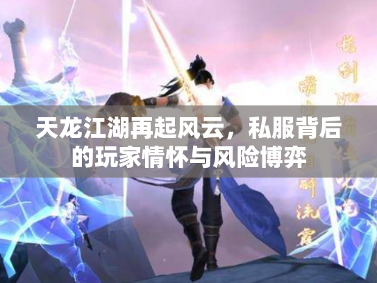 天龙江湖再起风云，私服背后的玩家情怀与风险博弈