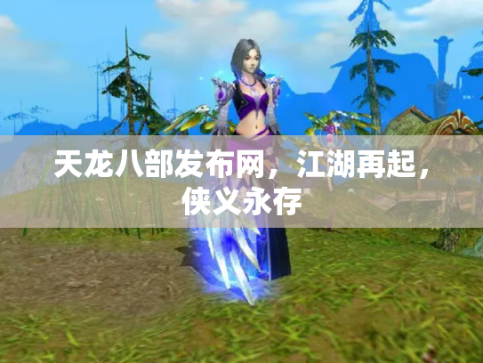 天龙八部发布网，江湖再起，侠义永存