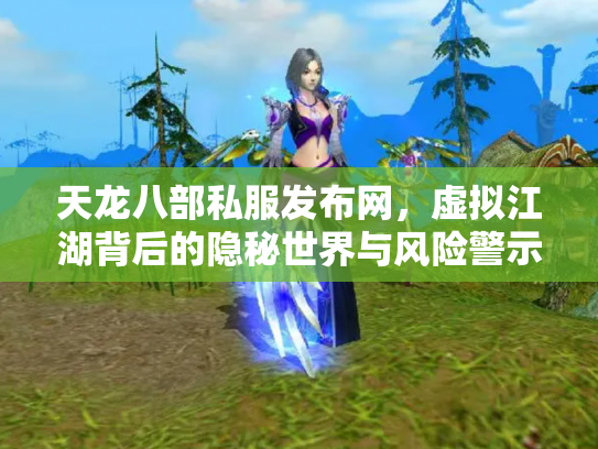 天龙八部私服发布网，虚拟江湖背后的隐秘世界与风险警示