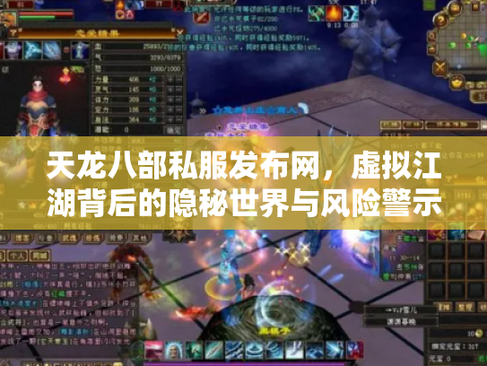 天龙八部私服发布网，虚拟江湖背后的隐秘世界与风险警示