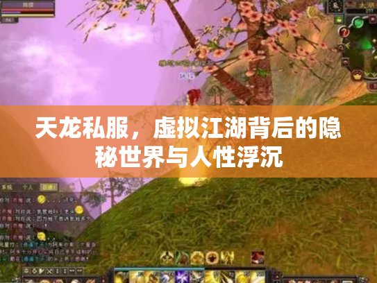 天龙私服，虚拟江湖背后的隐秘世界与人性浮沉