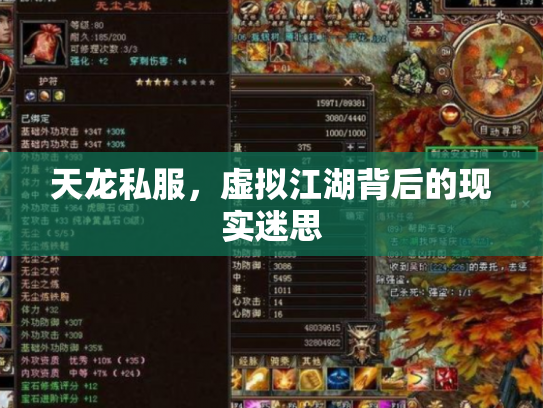 天龙私服，虚拟江湖背后的现实迷思