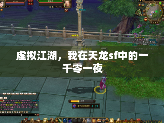 虚拟江湖，我在天龙sf中的一千零一夜