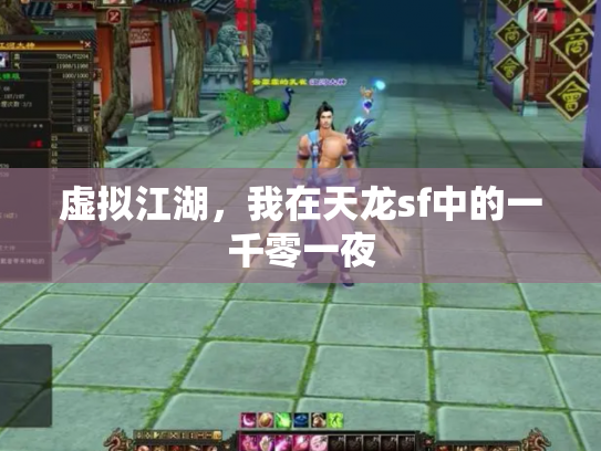 虚拟江湖，我在天龙sf中的一千零一夜