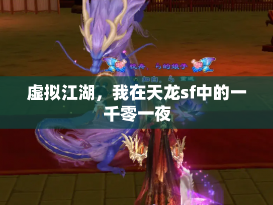 虚拟江湖，我在天龙sf中的一千零一夜