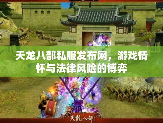 天龙八部私服发布网，游戏情怀与法律风险的博弈