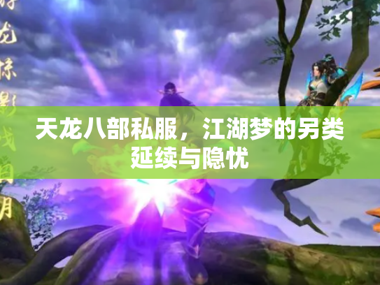 天龙八部私服，江湖梦的另类延续与隐忧