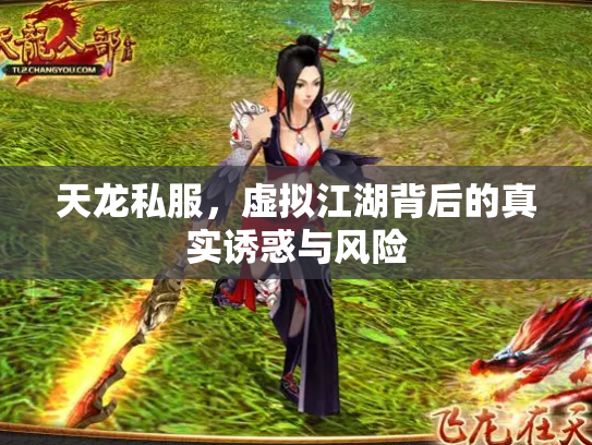 天龙私服，虚拟江湖背后的真实诱惑与风险