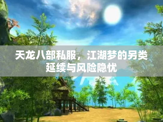 天龙八部私服，江湖梦的另类延续与风险隐忧