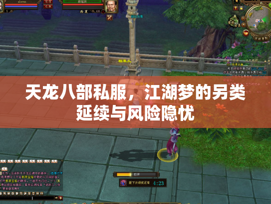 天龙八部私服，江湖梦的另类延续与风险隐忧