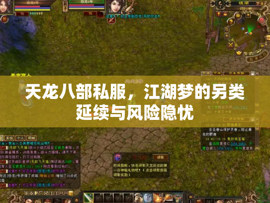 天龙八部私服，江湖梦的另类延续与风险隐忧