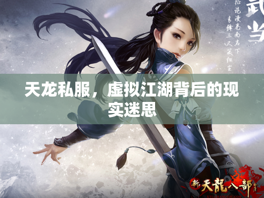天龙私服，虚拟江湖背后的现实迷思