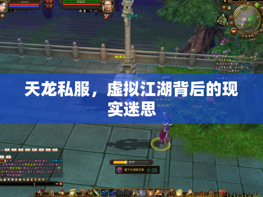 天龙私服，虚拟江湖背后的现实迷思