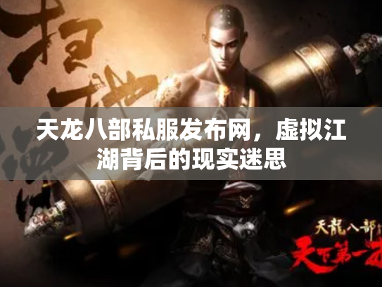 天龙八部私服发布网，虚拟江湖背后的现实迷思