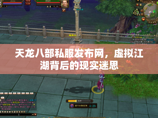 天龙八部私服发布网，虚拟江湖背后的现实迷思