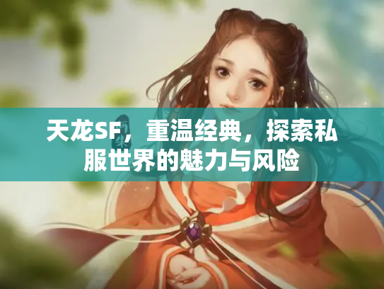 天龙SF，重温经典，探索私服世界的魅力与风险