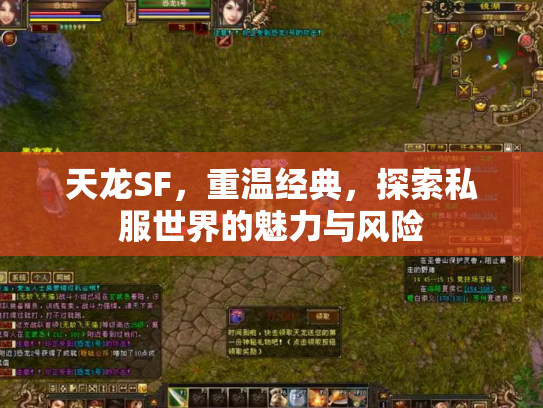 天龙SF，重温经典，探索私服世界的魅力与风险