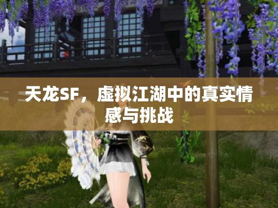 天龙SF，虚拟江湖中的真实情感与挑战
