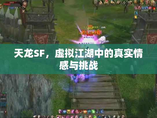 天龙SF，虚拟江湖中的真实情感与挑战