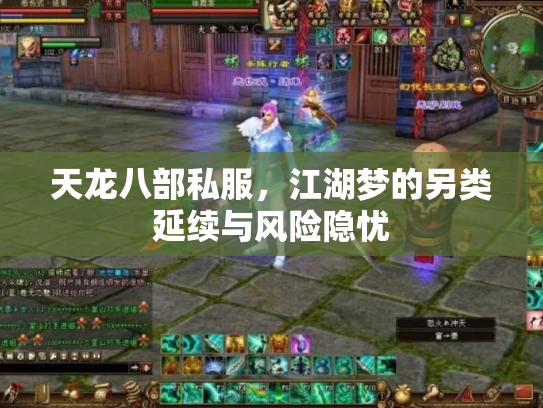 天龙八部私服，江湖梦的另类延续与风险隐忧