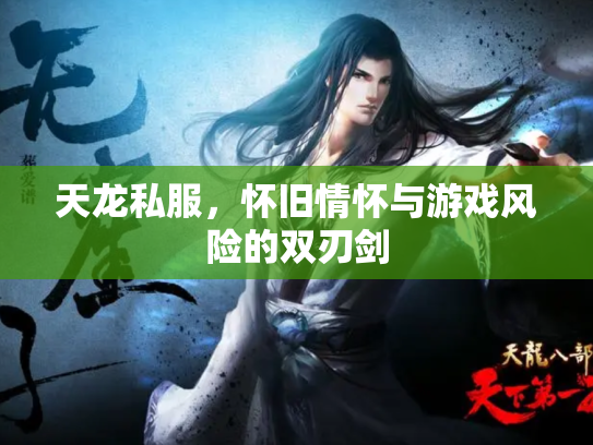 天龙私服，怀旧情怀与游戏风险的双刃剑