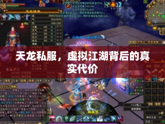天龙私服，虚拟江湖背后的真实代价