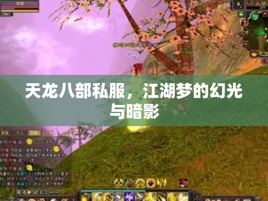 天龙八部私服，江湖梦的幻光与暗影