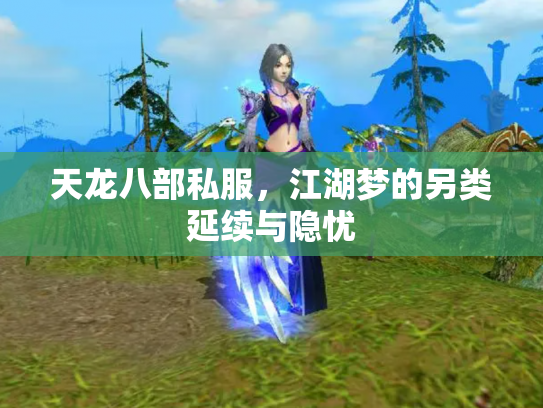 天龙八部私服，江湖梦的另类延续与隐忧