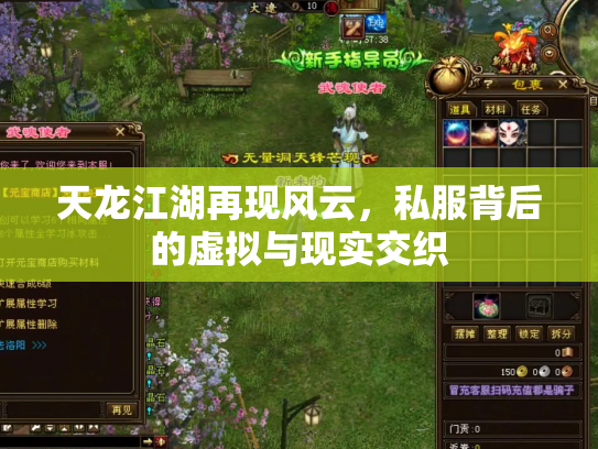 天龙江湖再现风云，私服背后的虚拟与现实交织